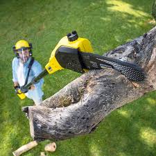 Best Soil Testing and Treatment  in Mangum, OK