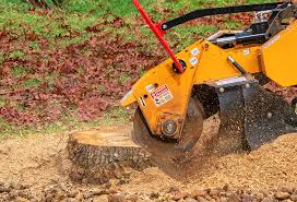 Best Lawn Grading and Leveling  in Mangum, OK