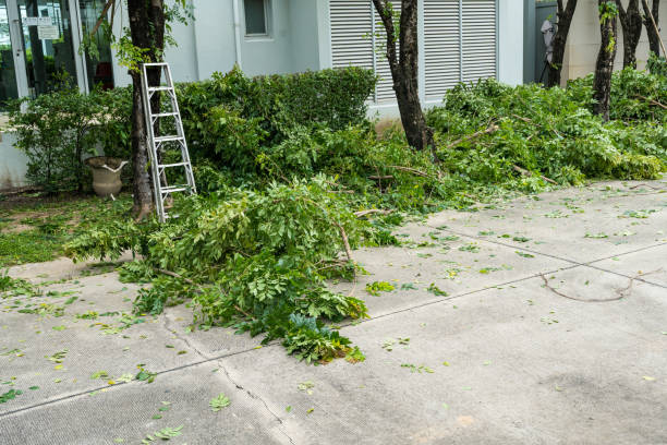 Best Leaf Removal  in Mangum, OK